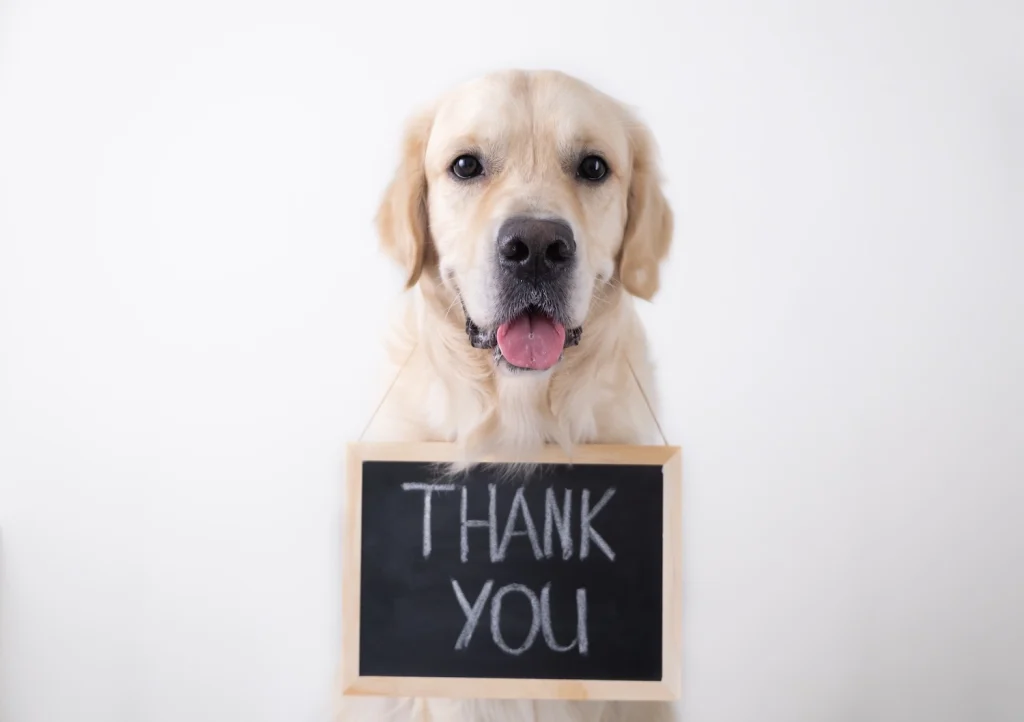 Thank you